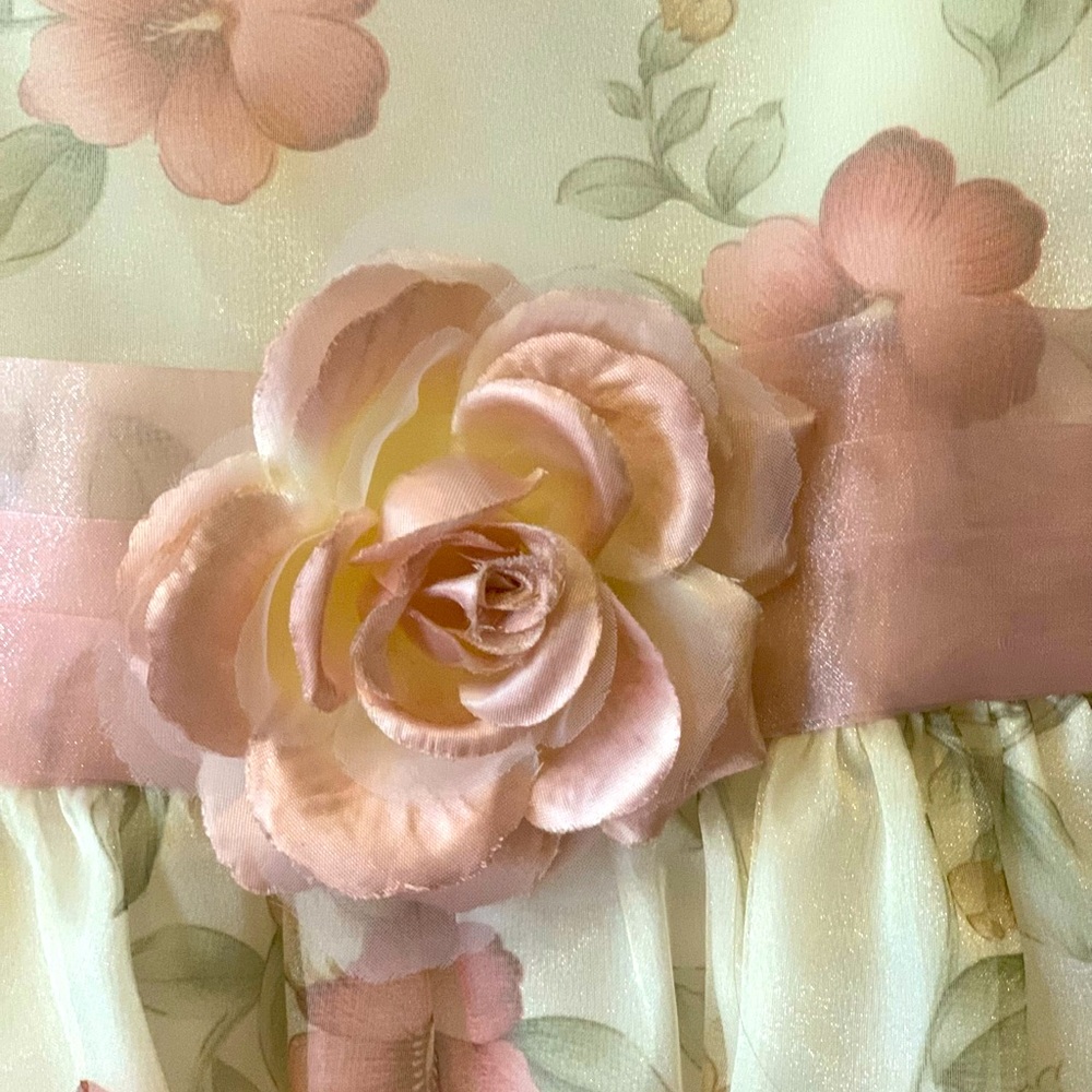 Girl’s Formal Dress